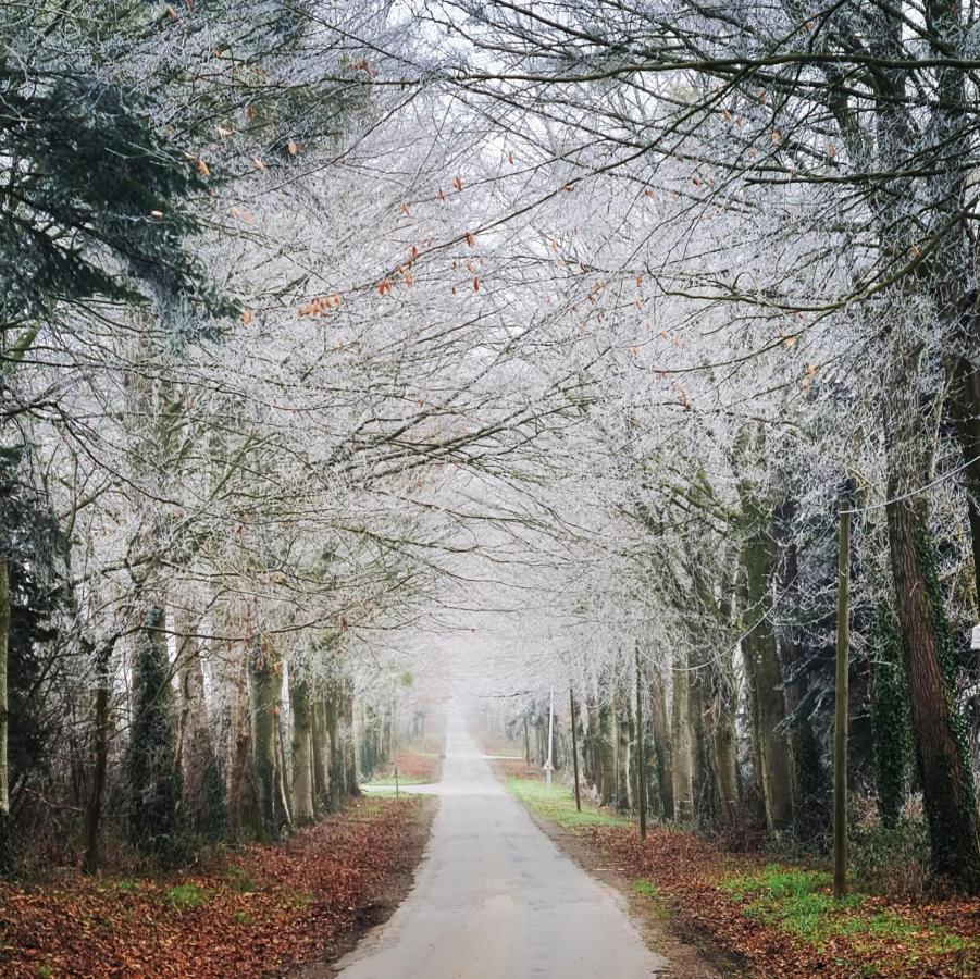 Isigny-le-Buat La Pichonniere Bed & Breakfast エクステリア 写真